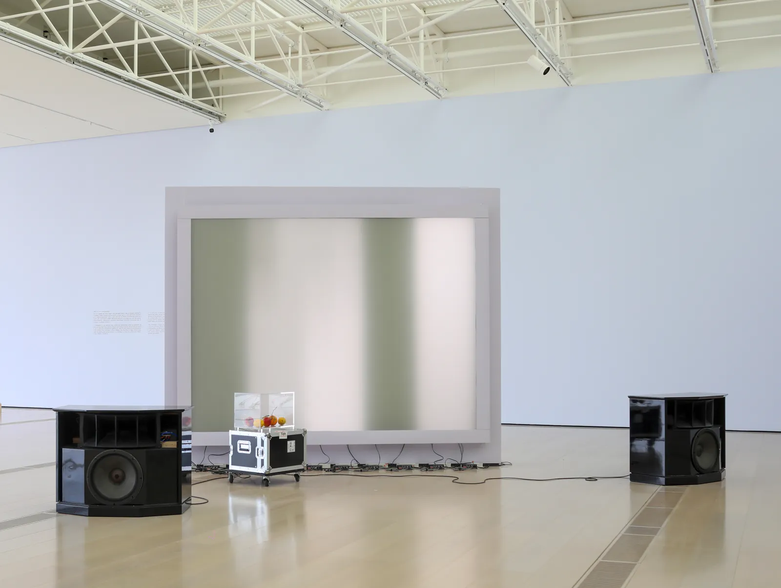 Installation images of YUKO MOHRI: Entanglements.