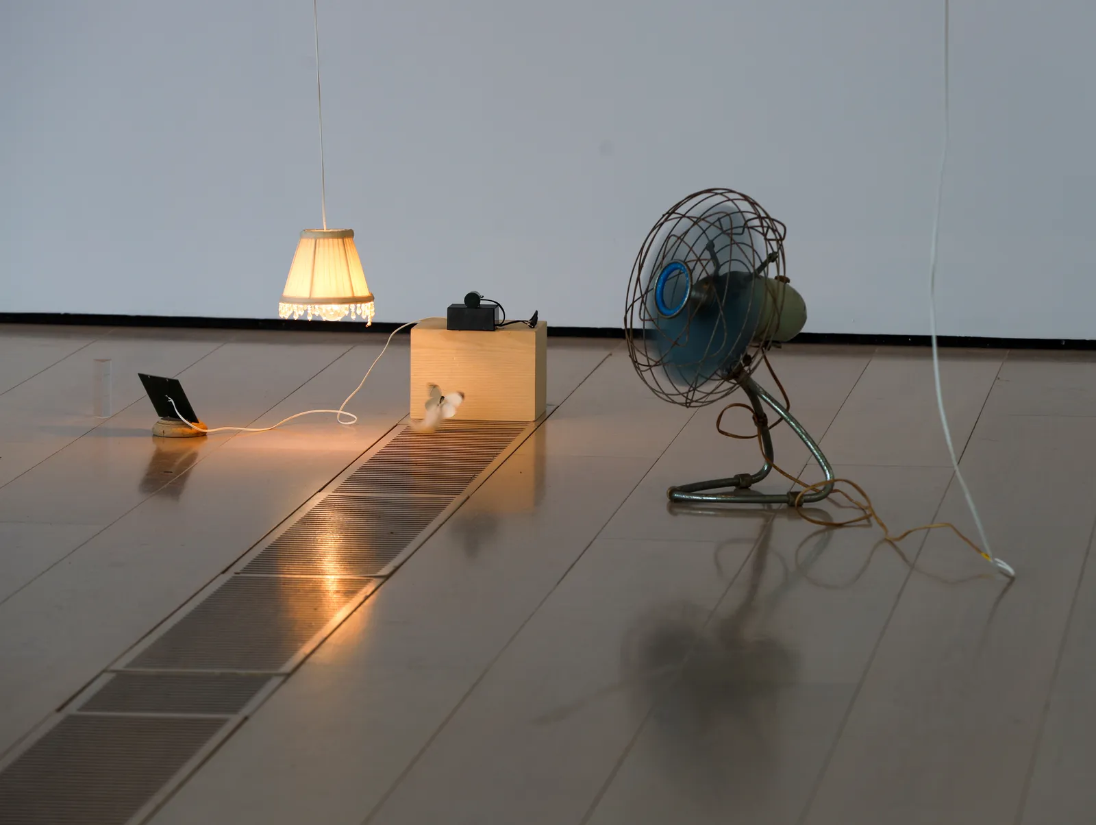 Installation images of YUKO MOHRI: Entanglements.