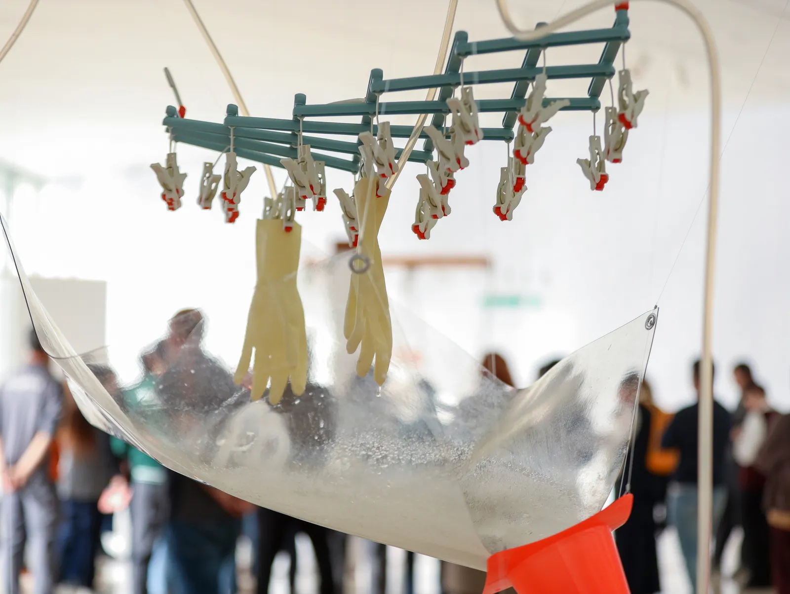 Installation images of YUKO MOHRI: Entanglements.