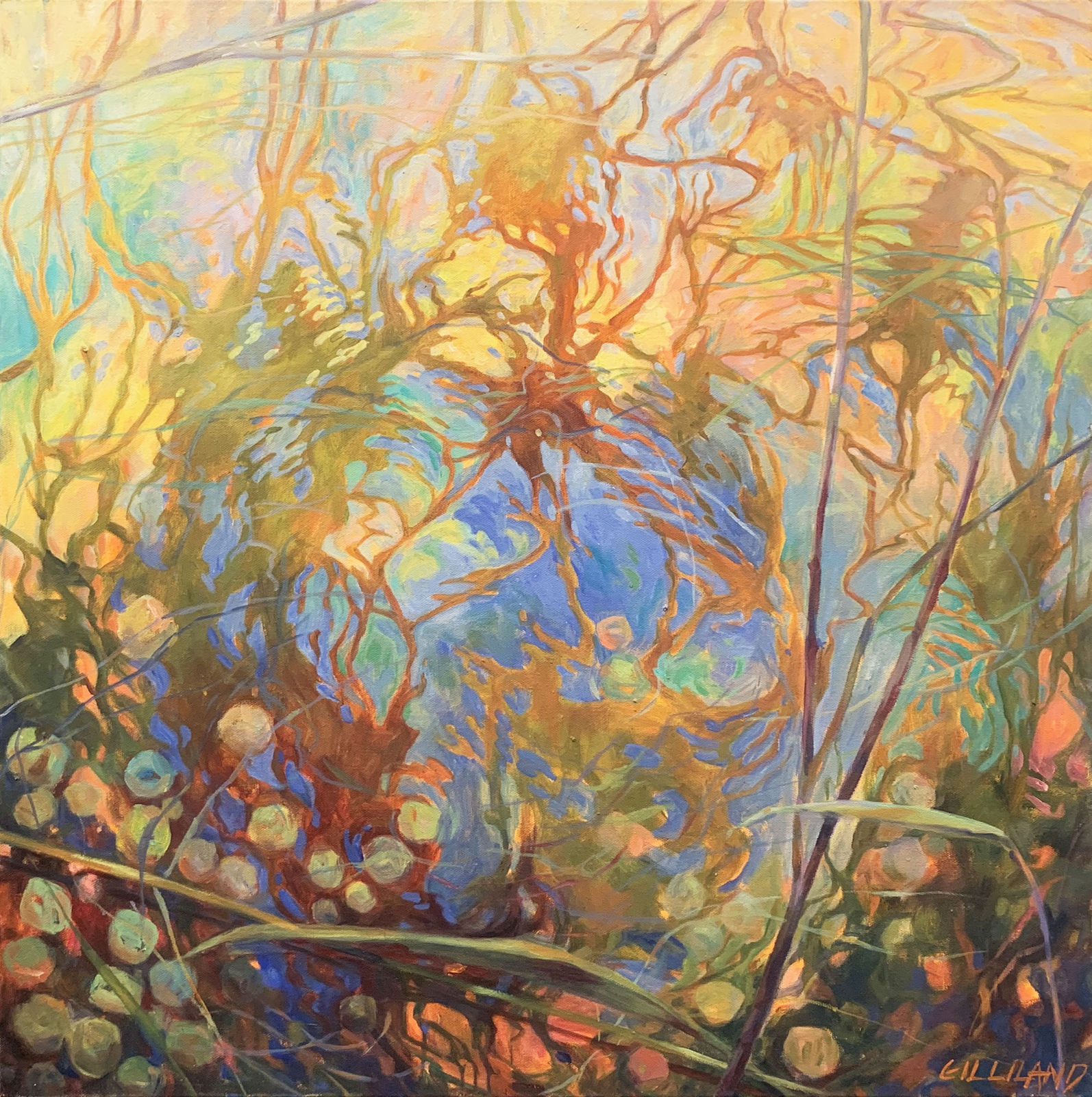 Pamela Gilliland, Water Reflection 11