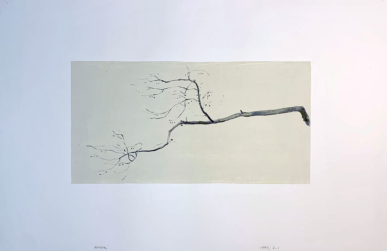 Stephen Pentak, 1997.2.1, 1997