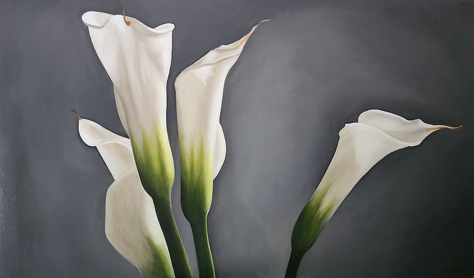 Eric Kunde, Andante (four Calla Lilies), 2008