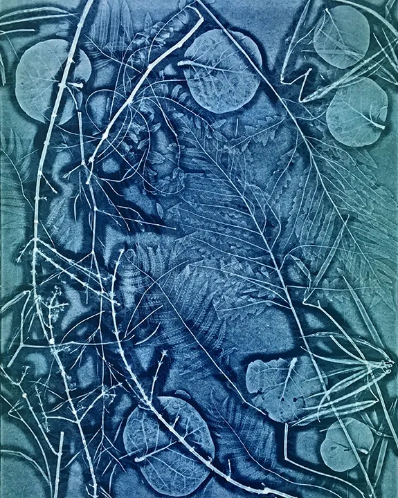 Lisa Schonberg, From the Woodlands to the Sea #2, 2019