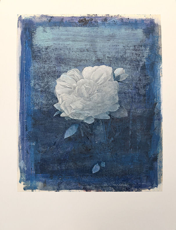 Michael Kellers, White Rose (on Blue), 2015