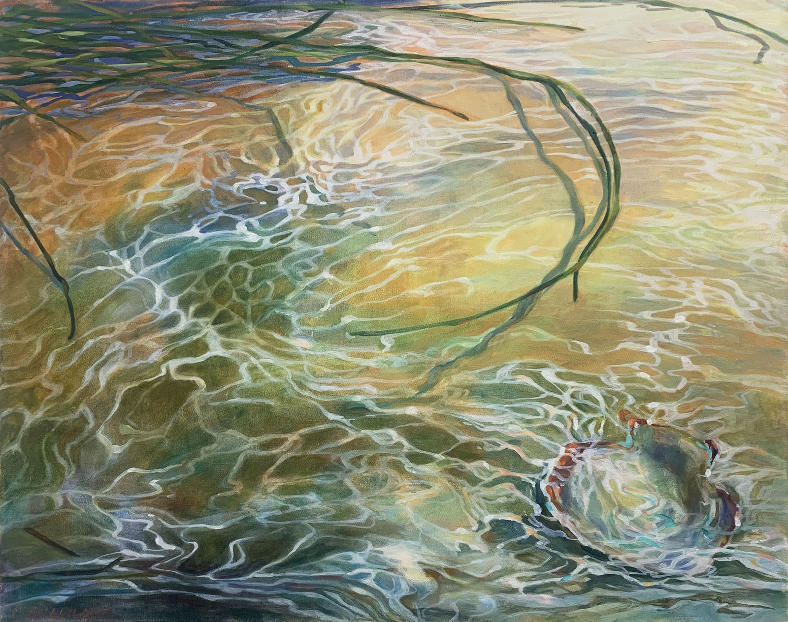 Pamela Gilliland, Shell Reflection, 2012