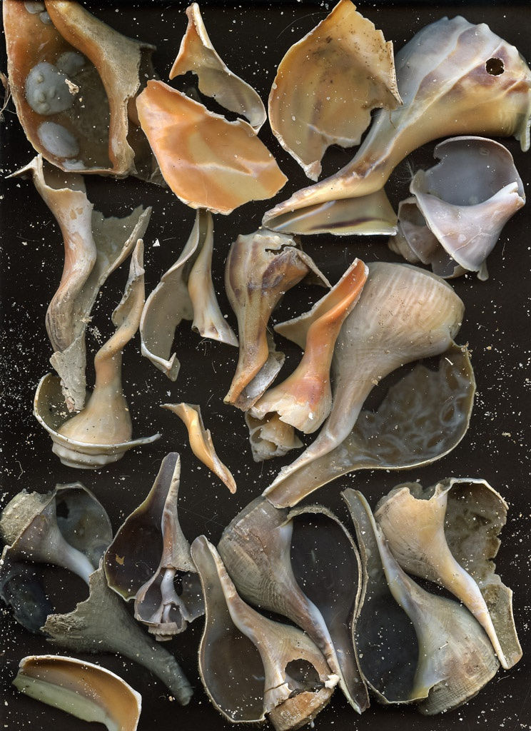 Ron Barron, Untitled #5 (Adrift Series), 2019