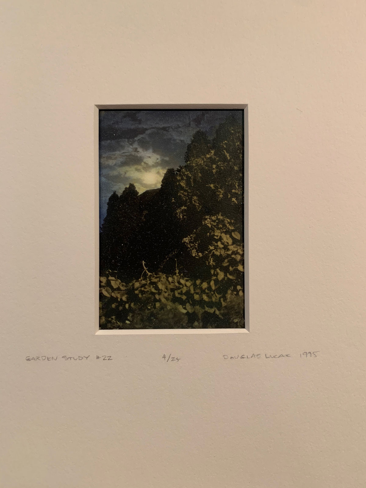 Douglas Lucak, Garden Study #22, 1995