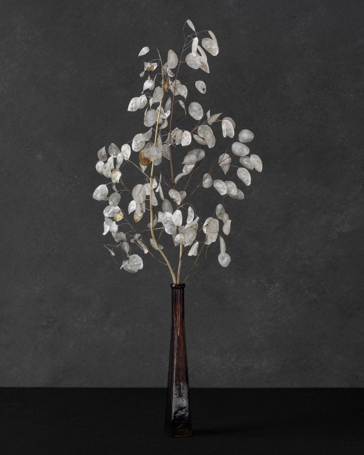 Puck Soetens, Judaspenning in een glazen vaas