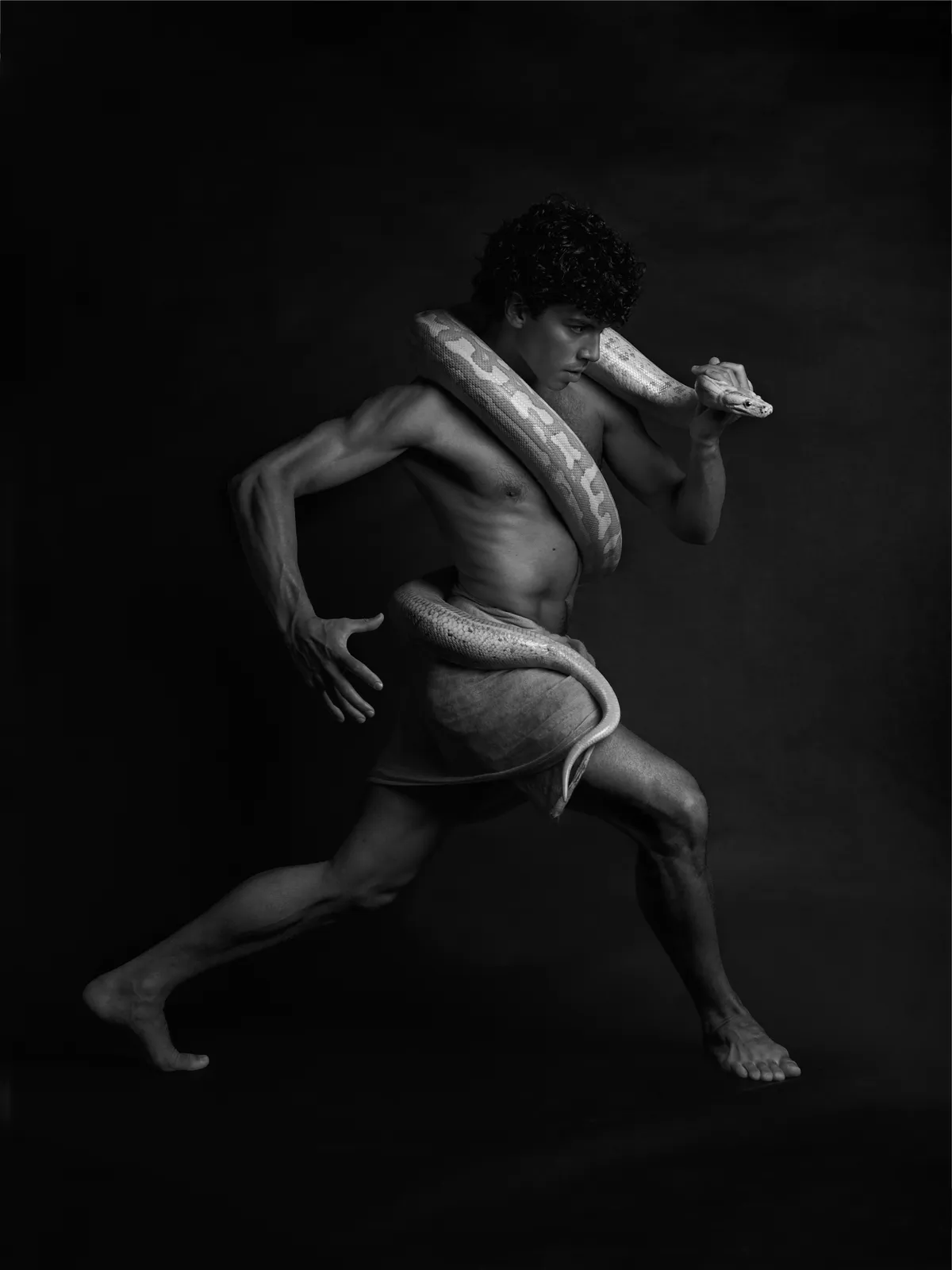 Davide Heijmans, The Beast Within nr. 2