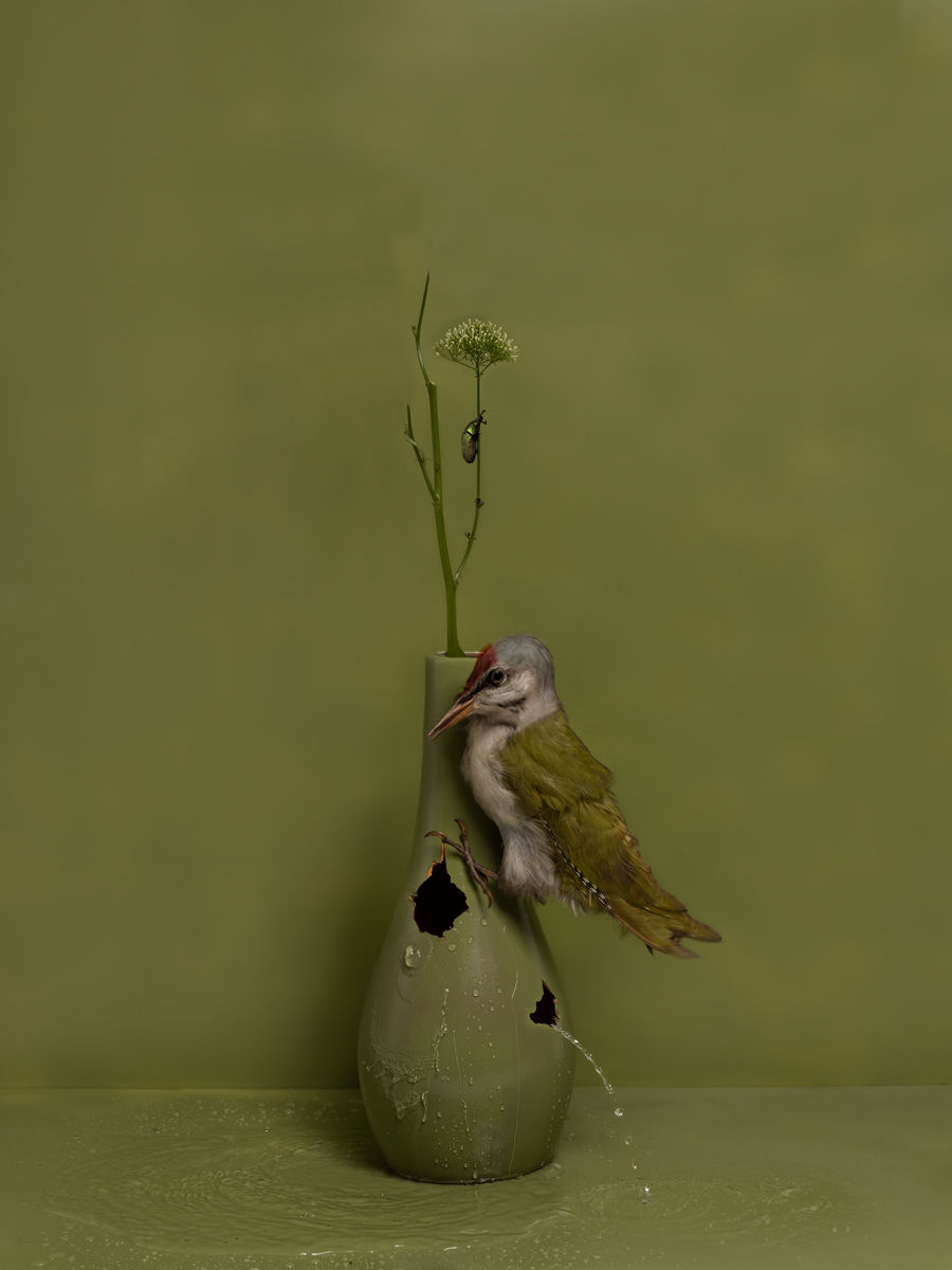 Kaat Stieber, The Hunt