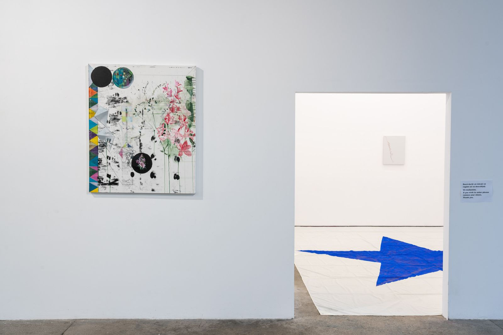 Installation View | Beatrice Pediconi @ Another World is Possible, curated by Antonello Tolve, Centrul de Interes, Cluj-Napoca