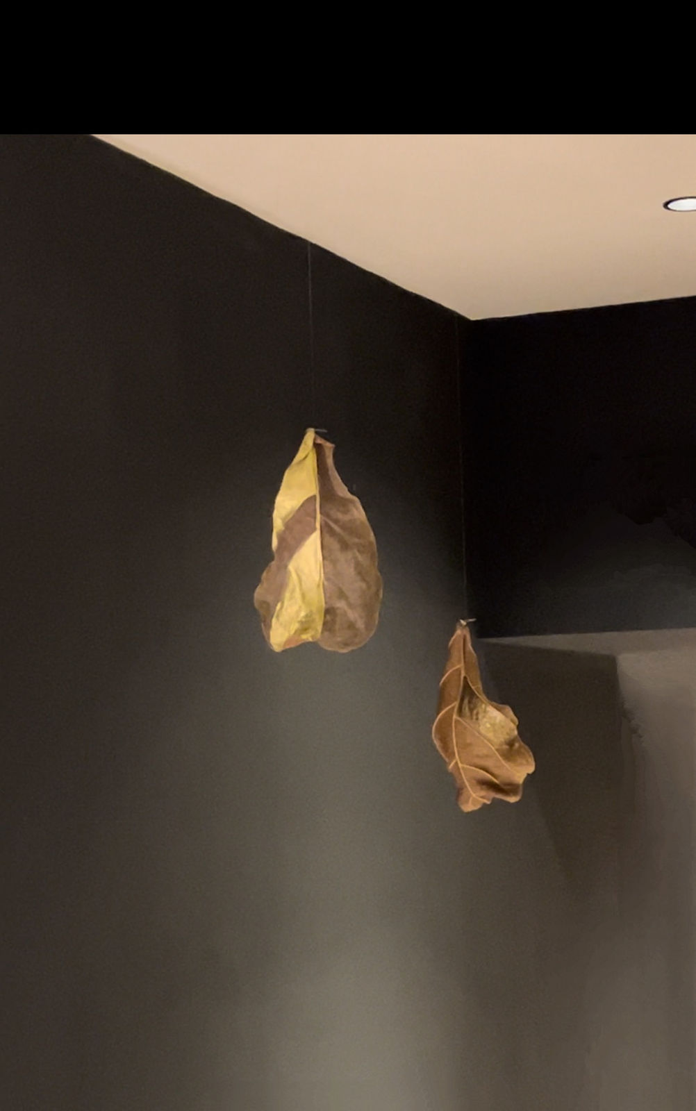 Installation View | Giovanni Kronenberg, Untitled, 2022 @ Elements of Balance, curated by Nicolas Suarez, Hotel Cyprianerhof, Bolzano, 2024-2025.