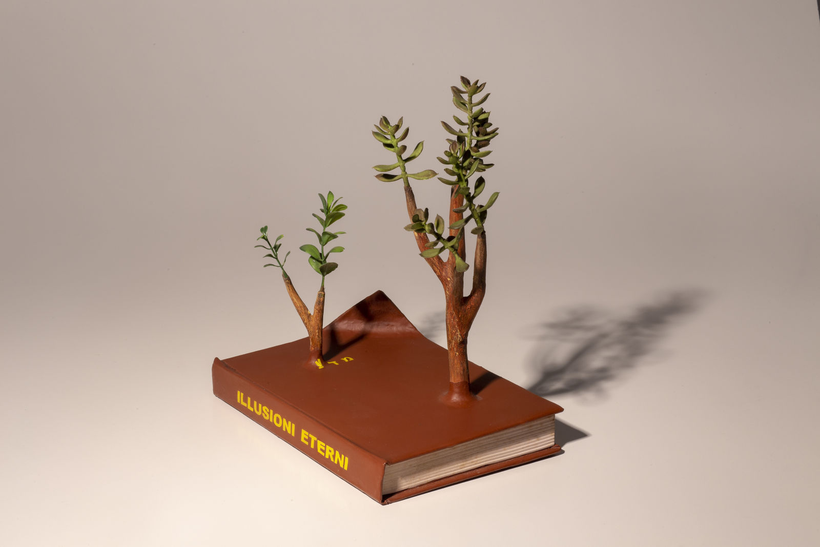 Camille Kachani, Illusioni Eterni, 2018