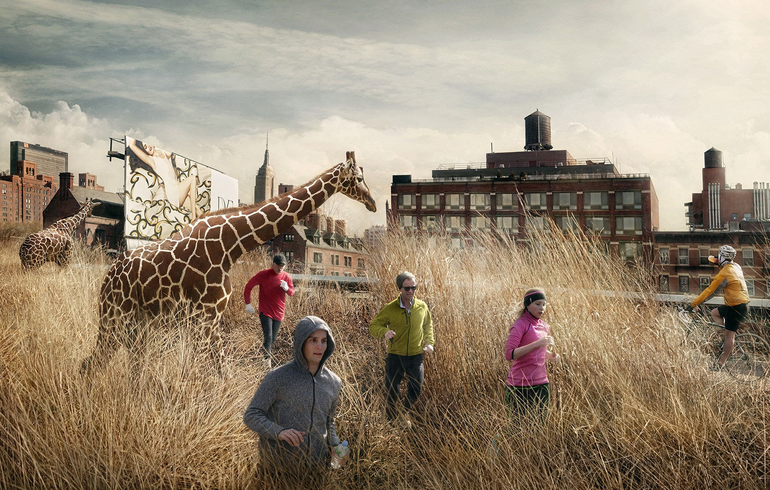 Marcelo Tinoco, High Line 1, 2012