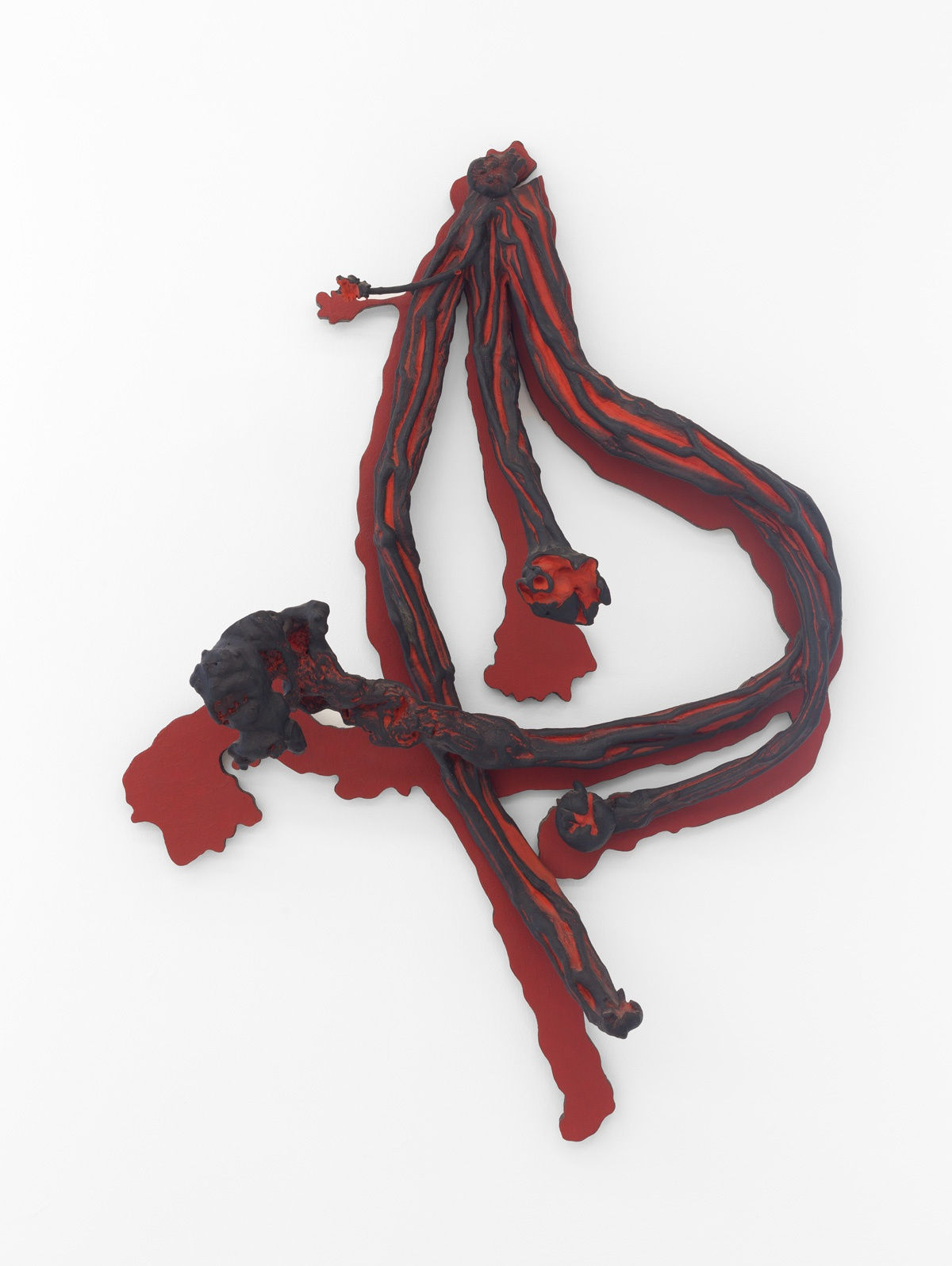 Frans Krajcberg, Da série 