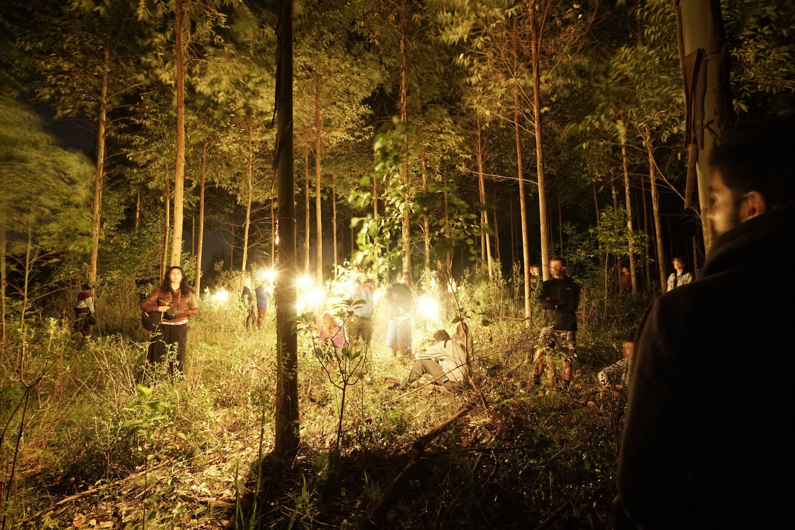 Fernando Velázquez, Natura Inestable Desirably Obscura, 2018