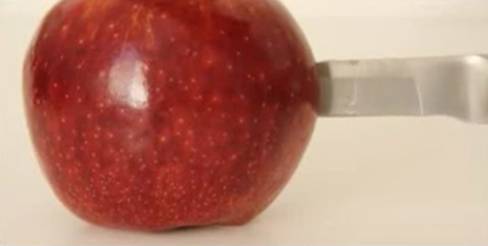 Katia Maciel, Maçã no escuro, 2011