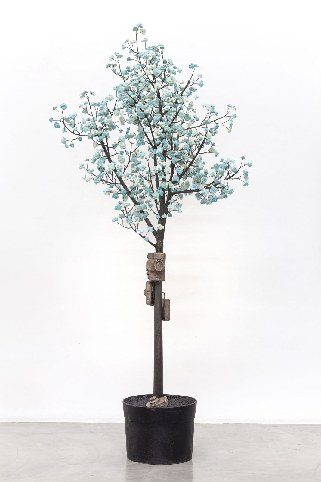 André Feliciano, Árvore fotográfica, 2022