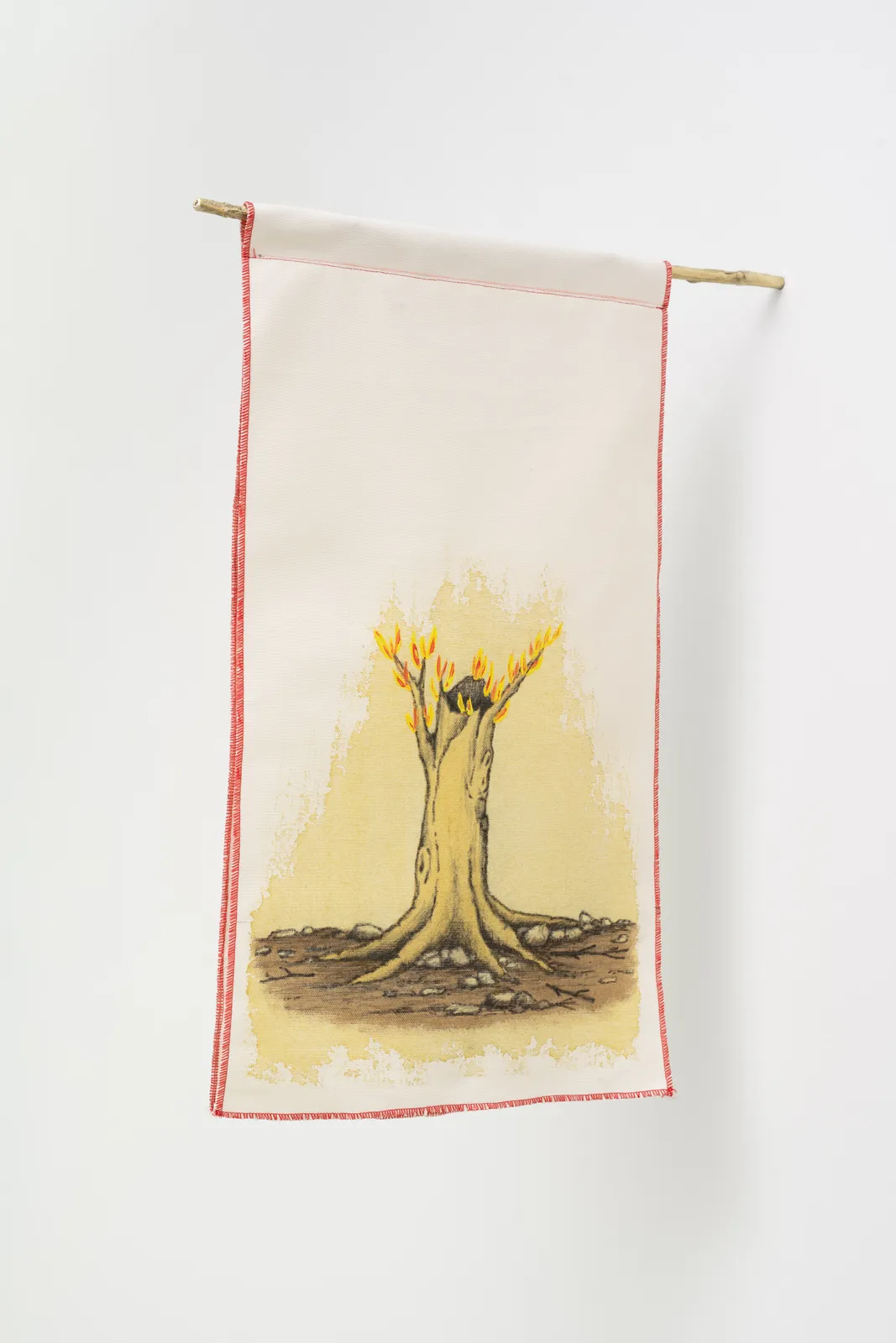 Rodrigo Braga, Bandeirola #26 (da série Ponto zero), 2026