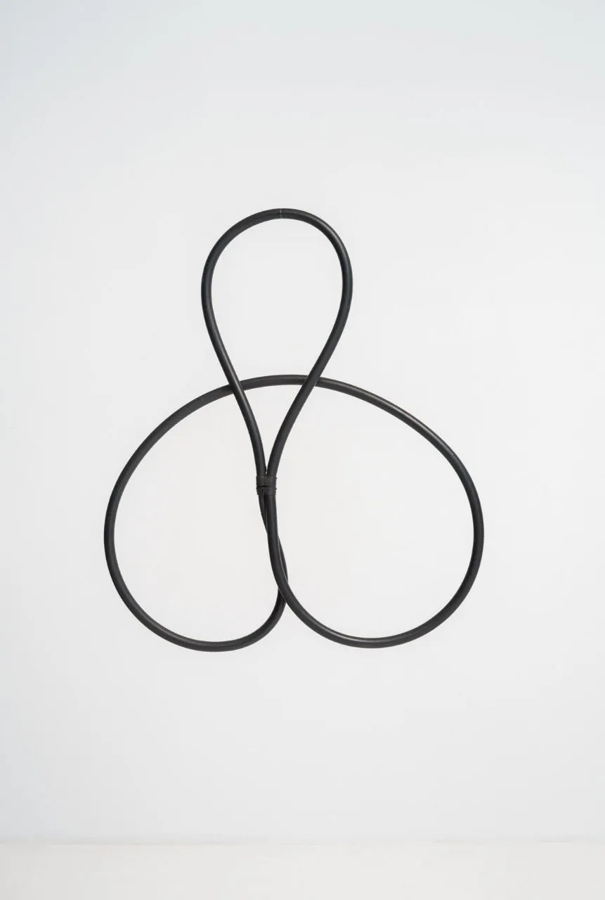 José Resende, Sem título, 1978