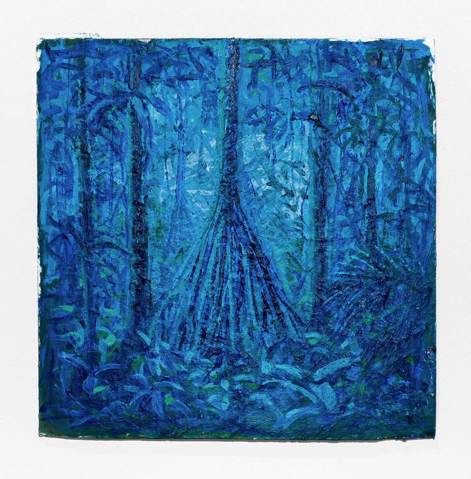 Miguel Penha Chiquitano, Palmeiras sete pernas, 2025