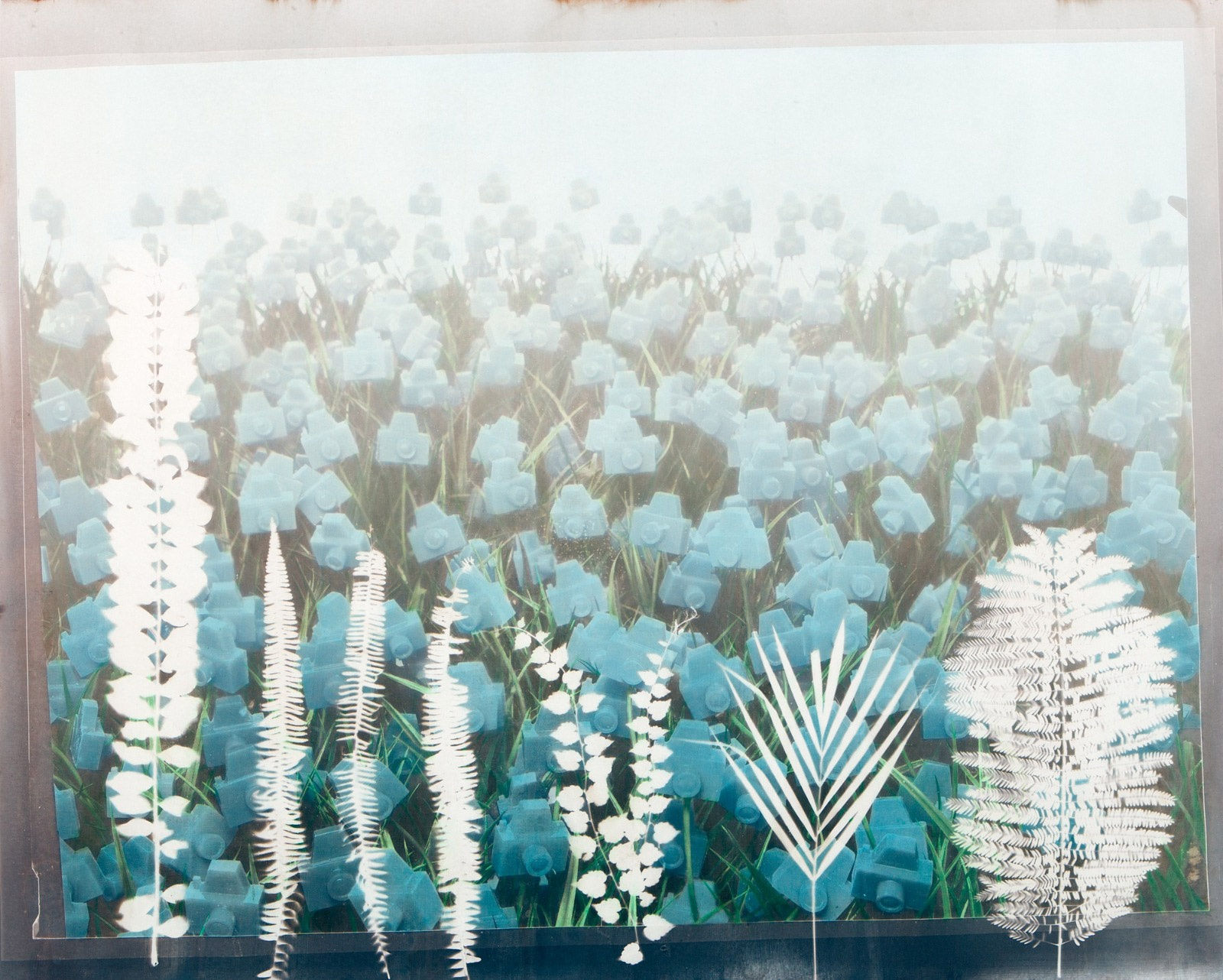 André Feliciano, Flores para Vilém Flusser 11, 2023