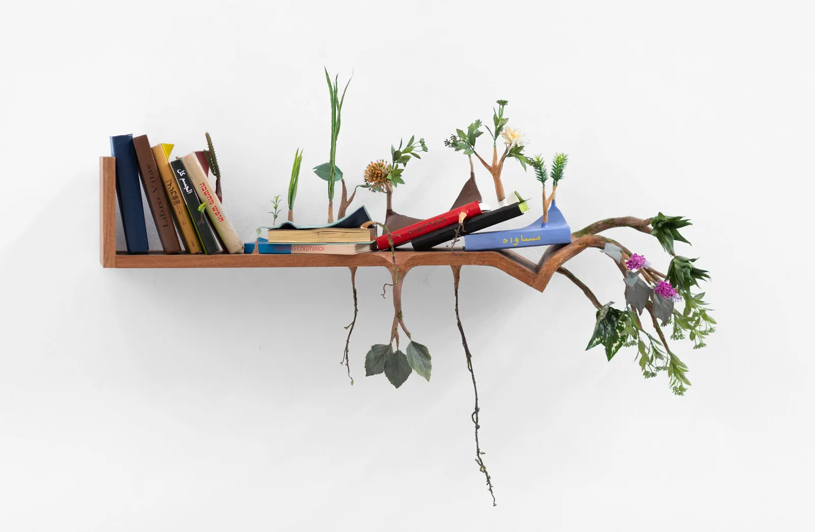 Camille Kachani, Estante romântica, 2026