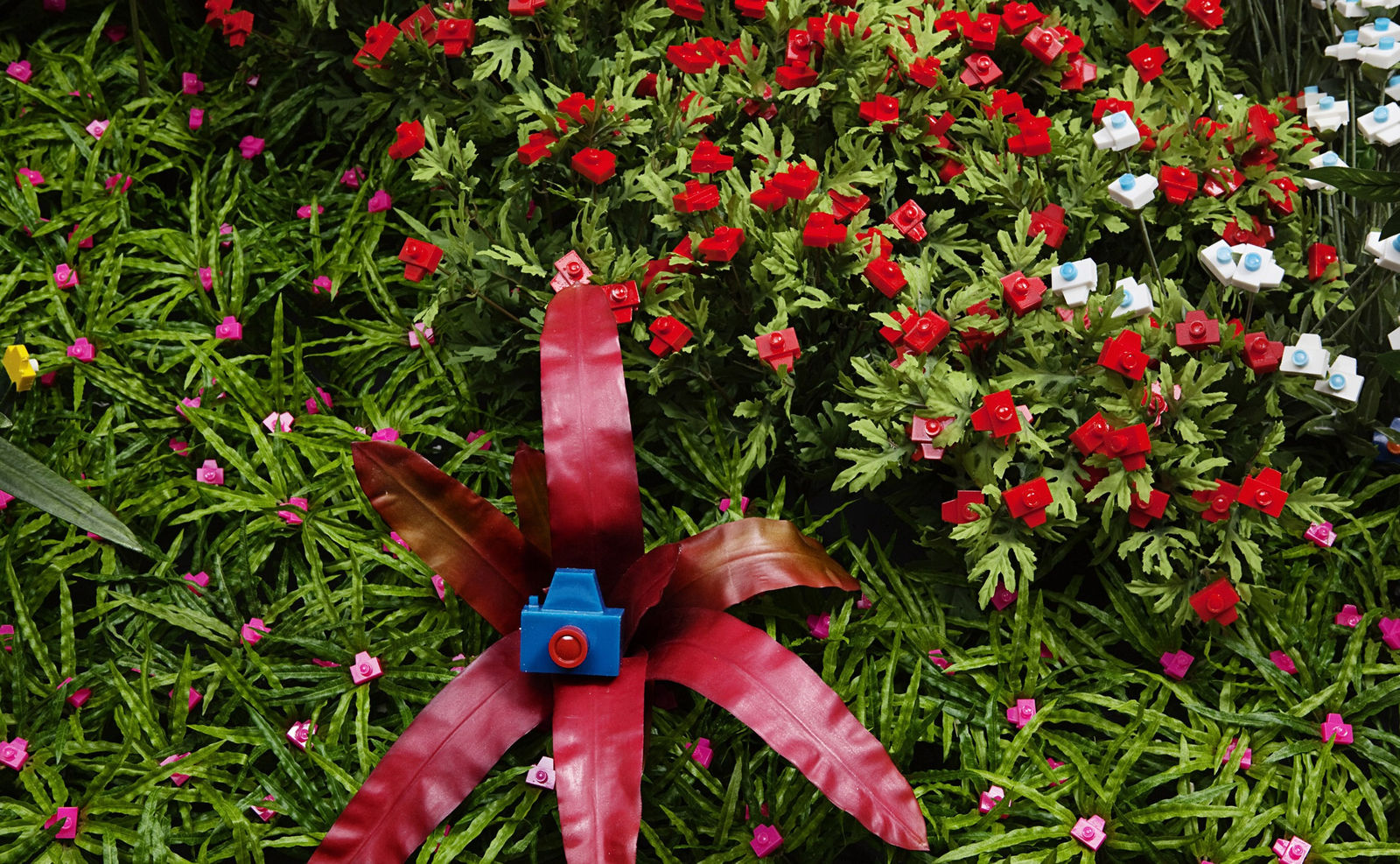 Jardineiro André Feliciano, Frutos do Jardim da Exposição Ecológica - MAM-SP 7, 2010