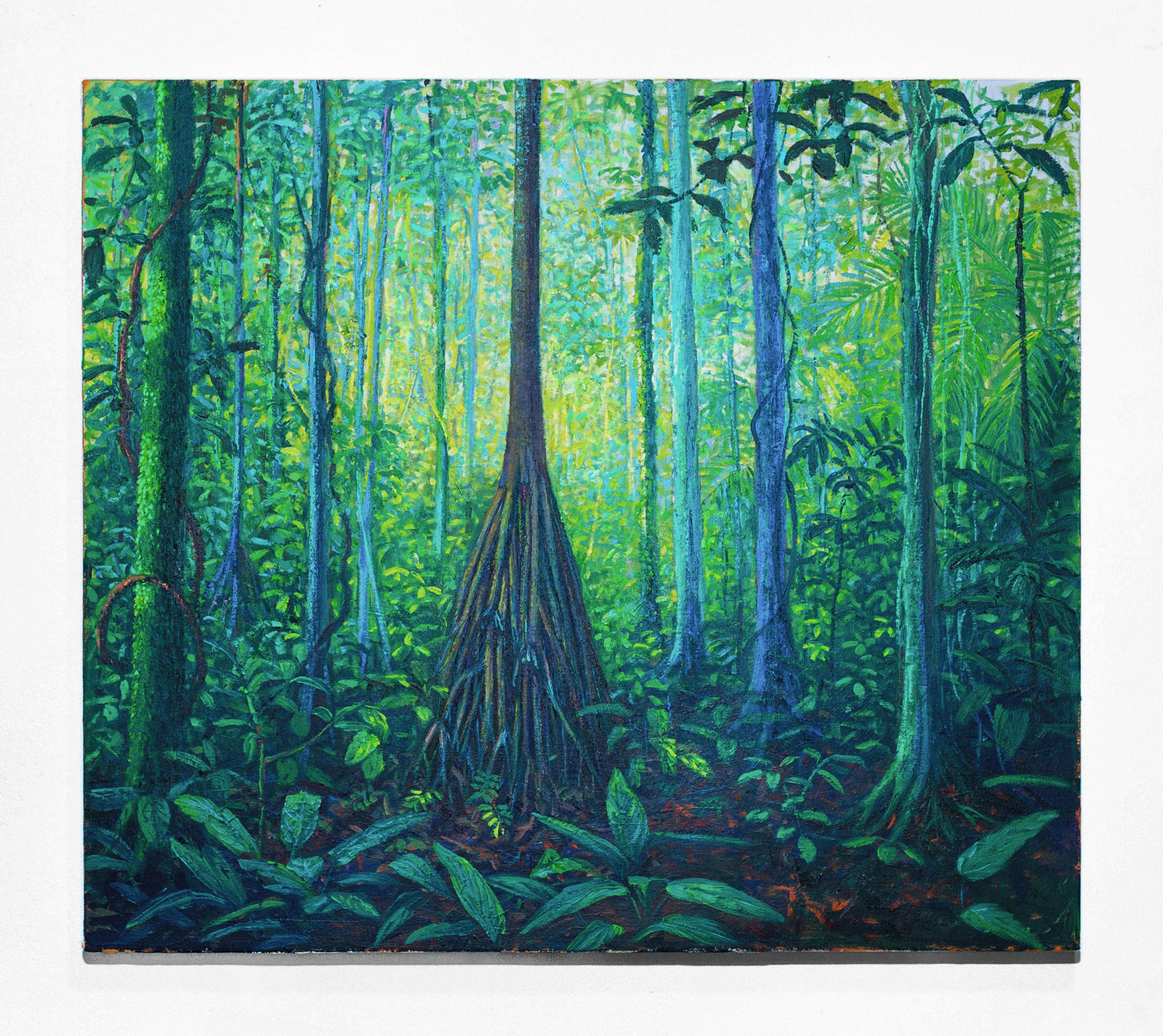 Miguel Penha Chiquitano, Palmeira paxiúba, 2025