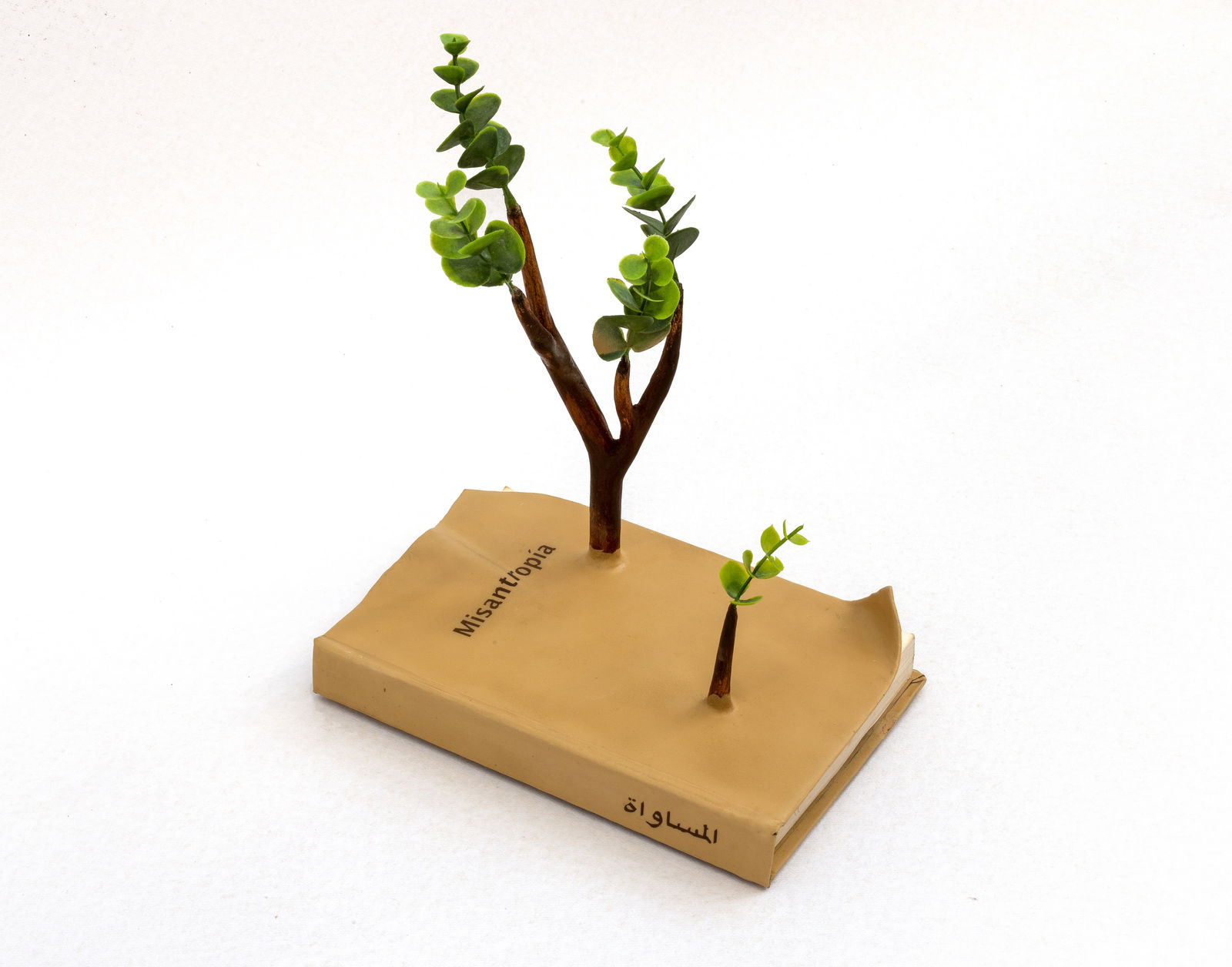 Camille Kachani, Misantropía, 2018