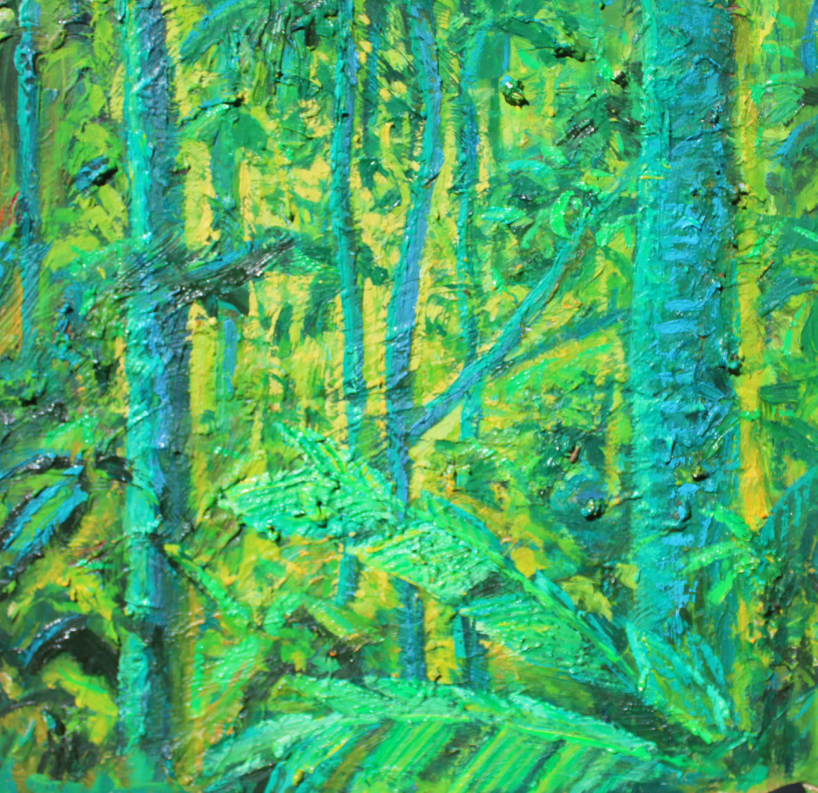 Miguel Penha Chiquitano, Palmeira ubin, 2024