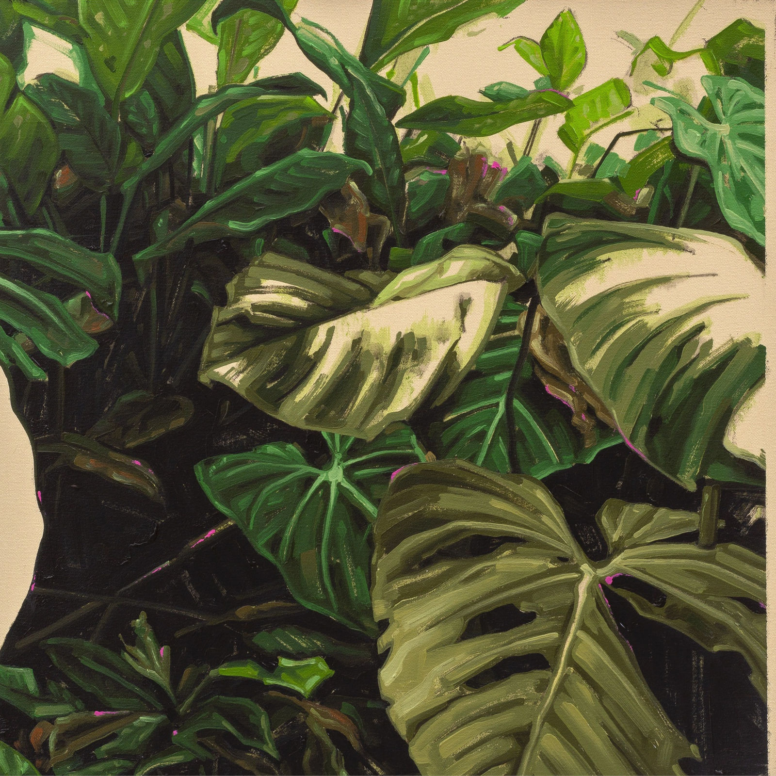 Fábio Baroli, Sem título, 2019