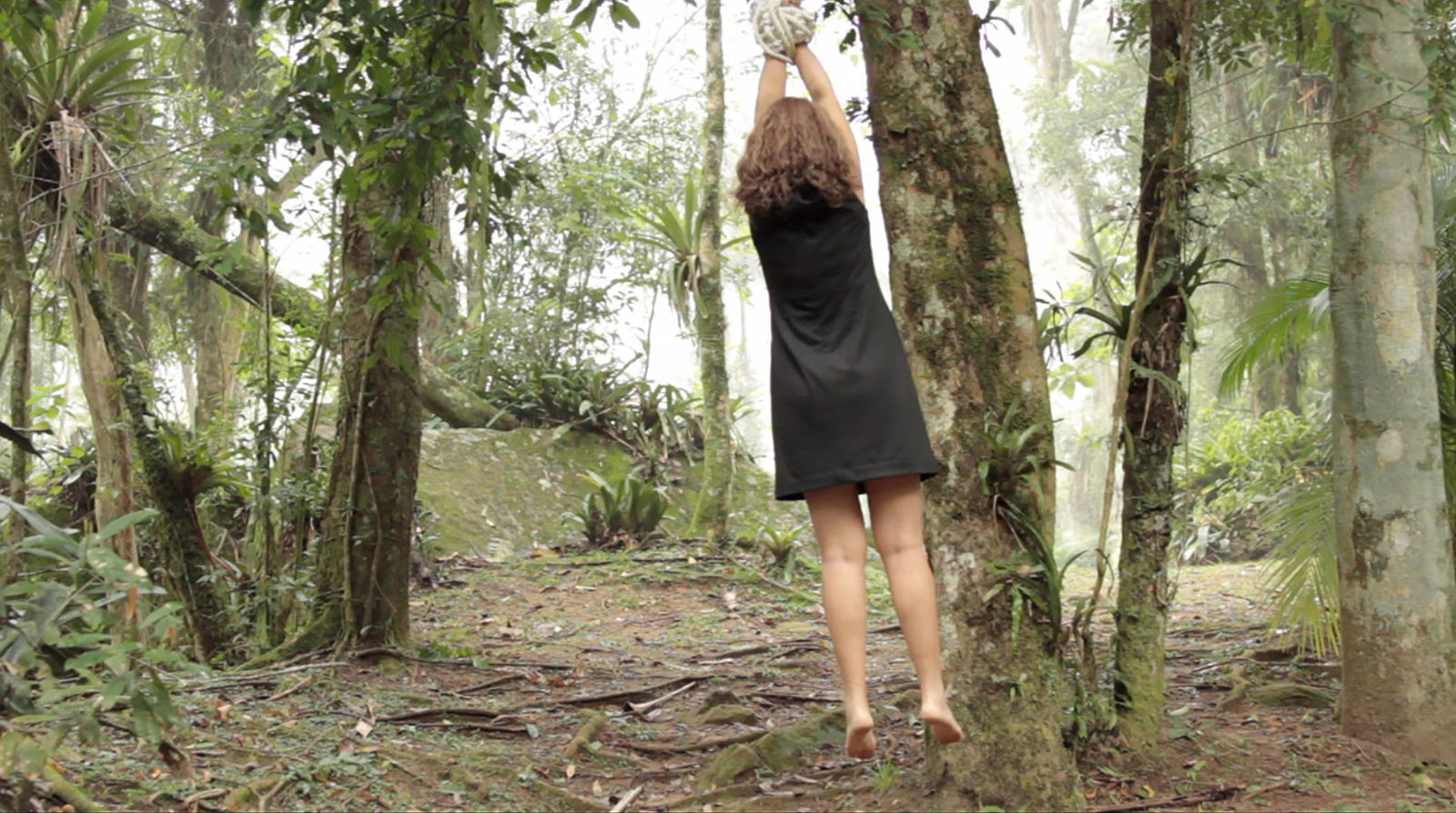 Katia Maciel, Vulto, 2013