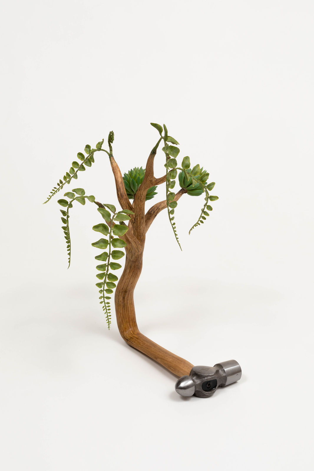 Camille Kachani, Sem título, 2019