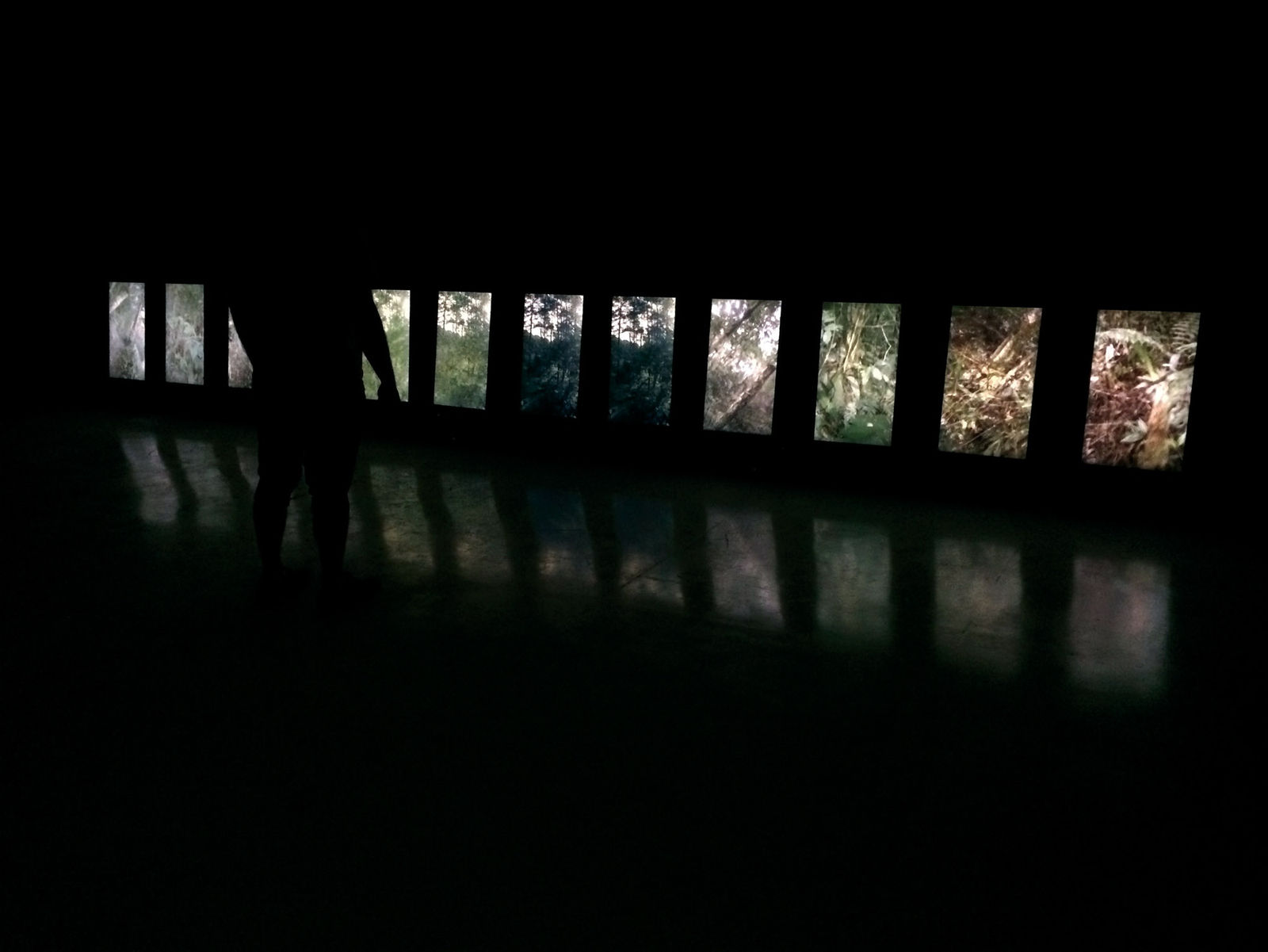 Fernando Velázquez, Reconhecimento de Padrões, 2014