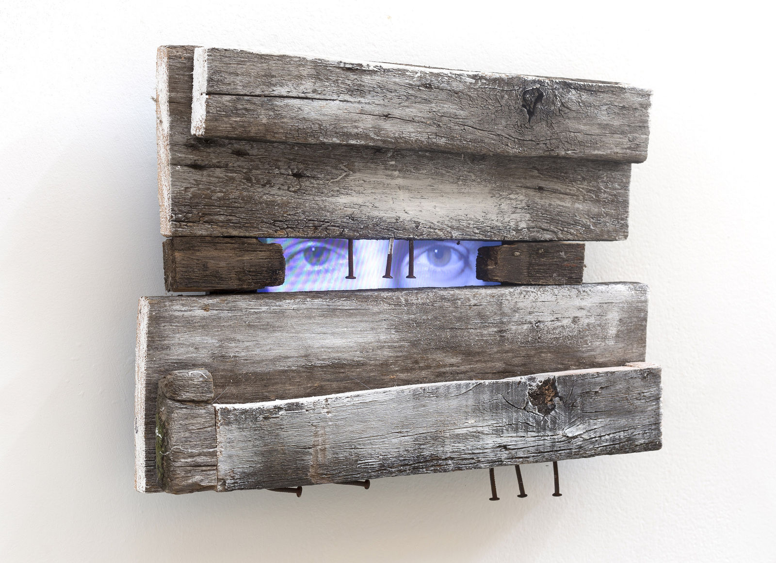 Graciela Sacco, Sem título, 2011