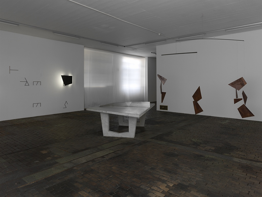 <div class="image_caption_container"><div class="image_caption"><p>Exhibition view,</p><p><strong>A Lost Cate and Alleyways, Back Gardens, Pools and Parkways,</strong>&nbsp;Centre d'art Contemporain, Gen&egrave;ve, 2007</p></div></div>