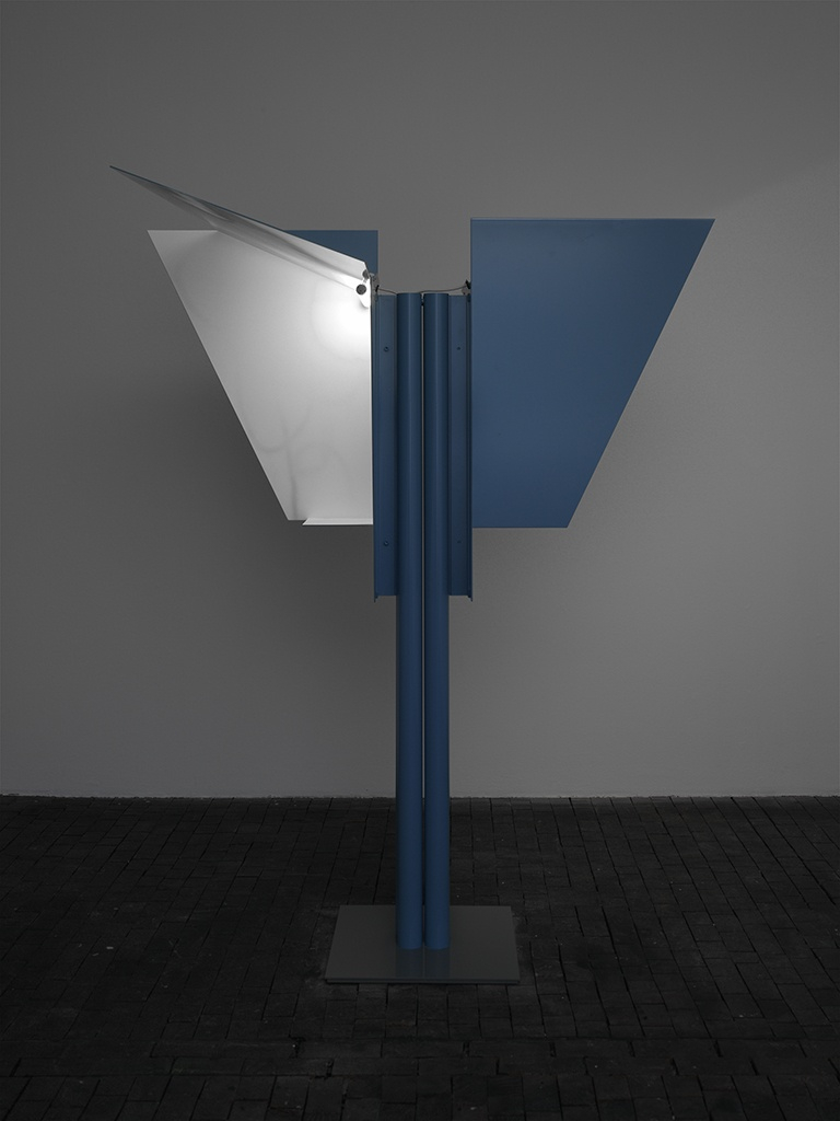 <div class="image_caption_container"><div class="image_caption"><p>Exhibition view,</p><p><strong>A Lost Cate and Alleyways, Back Gardens, Pools and Parkways,</strong>&nbsp;Centre d'art Contemporain, Gen&egrave;ve, 2007</p></div></div>