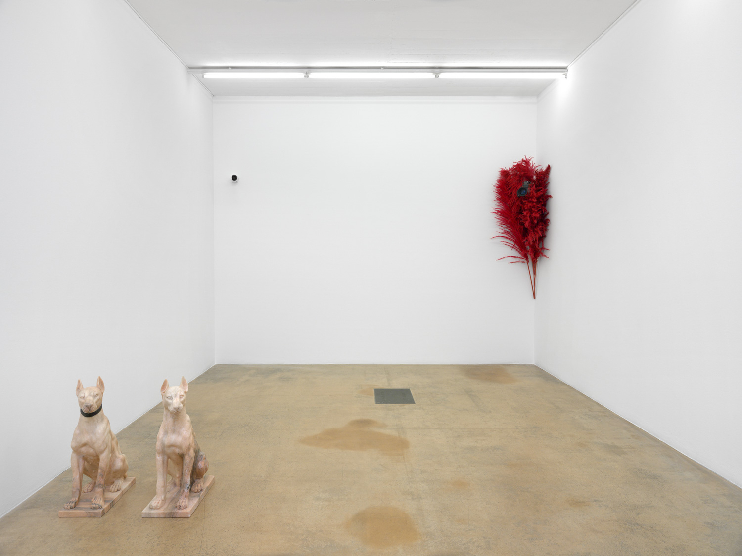 <div class="image_caption_container"><div class="image_caption">Exhibition view: <strong>Julia Scher</strong>, MAMCO, Geneva, 2021. Photo © Annik Wetter</div></div>