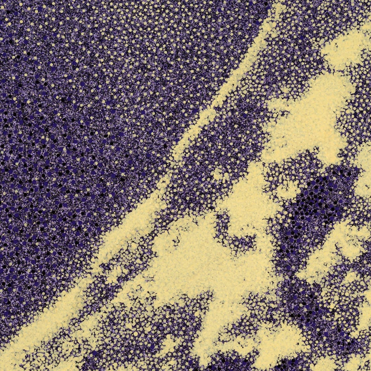 Easy Assembly Tauba Auerbach