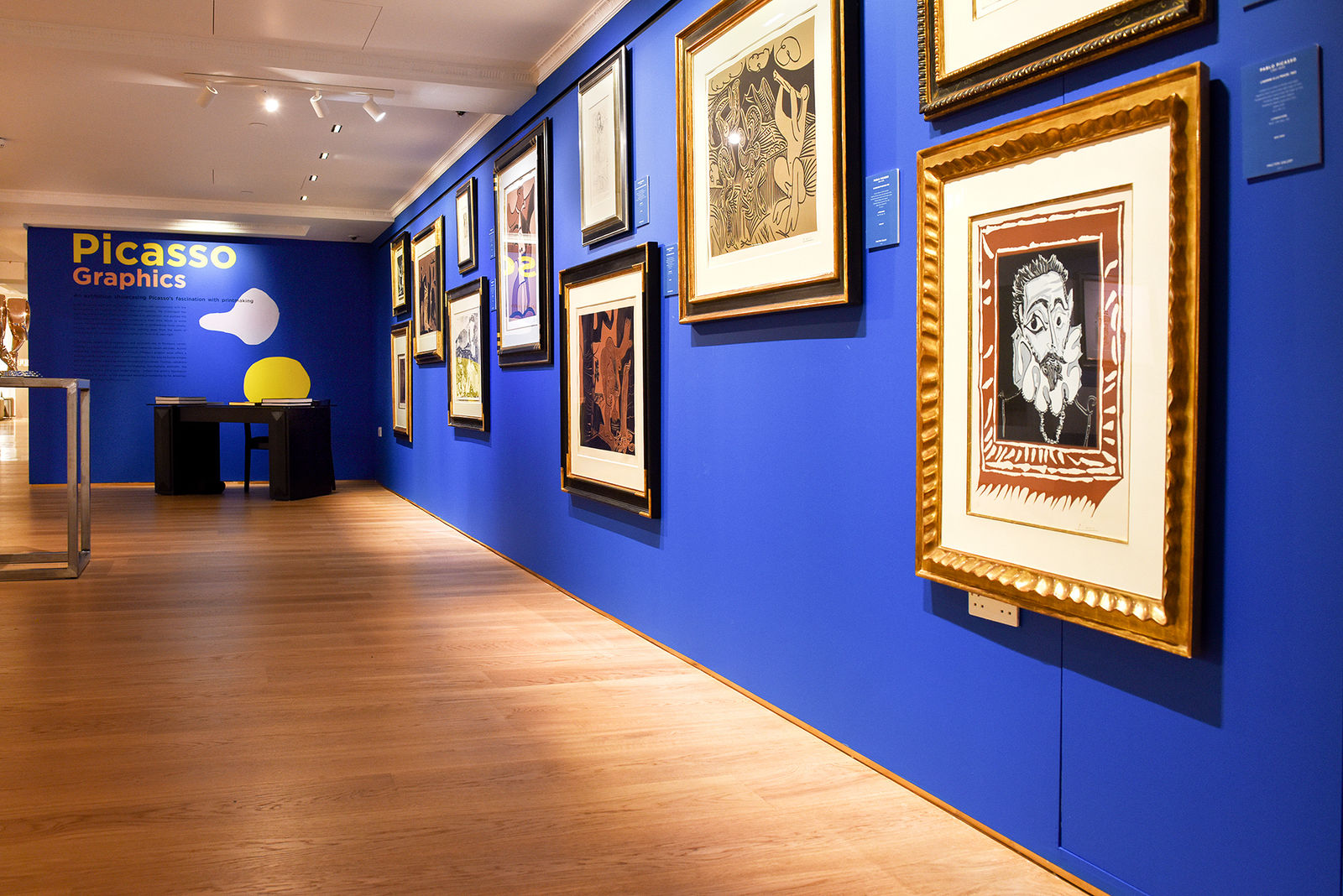 Picasso Graphics Pablo Picasso