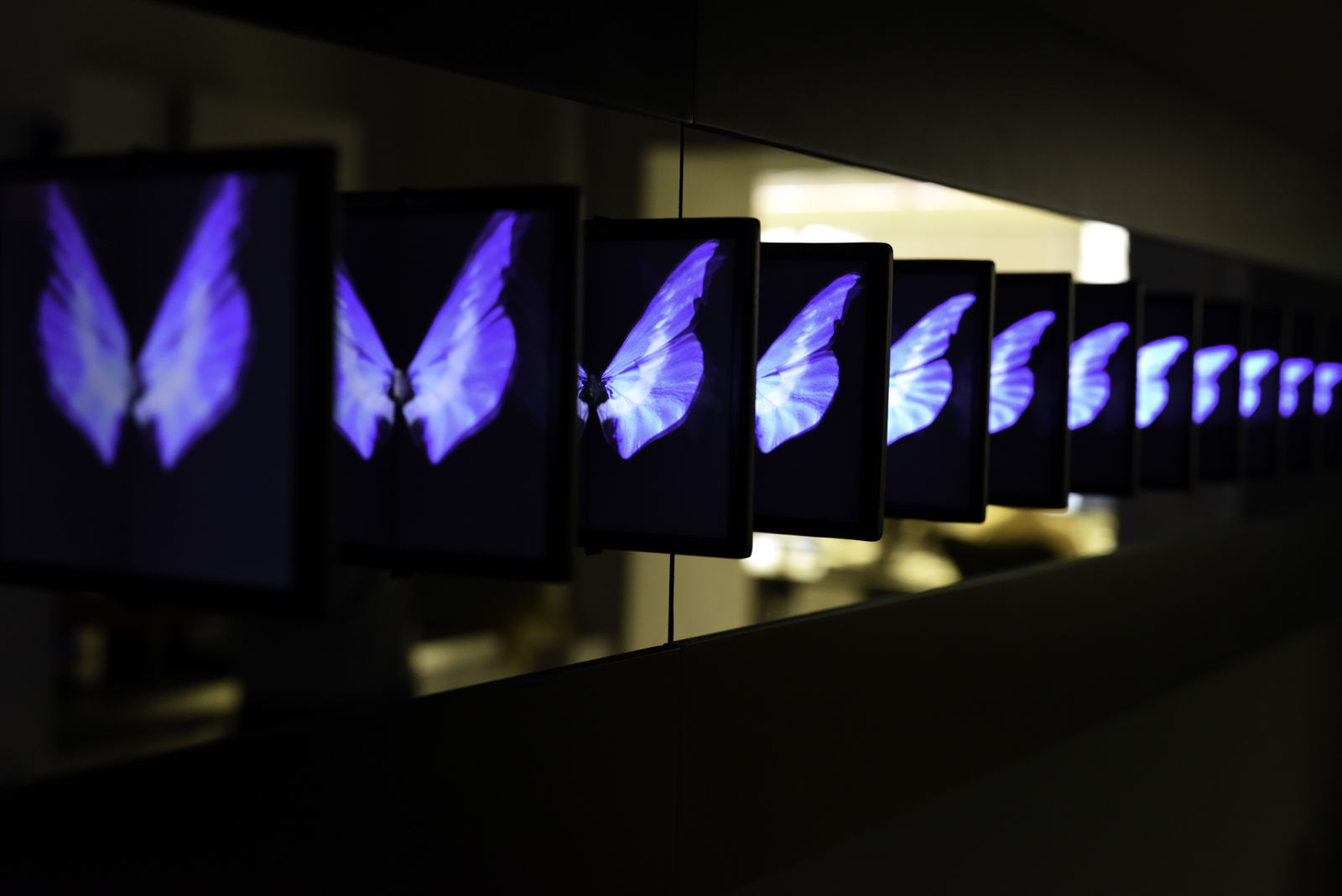 Imagine Dominic Harris