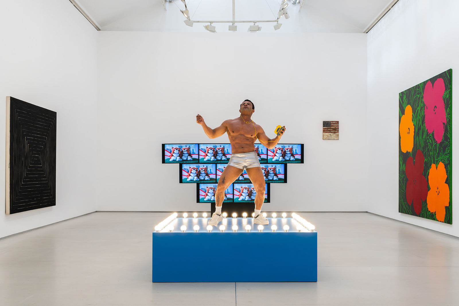 Sturtevant's ‘sexy and funky’ centenary Reviewed by Anne-Cécile Sanchez