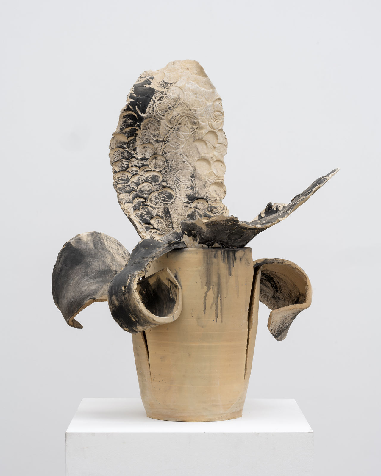 Barceló El Ceramista By Cornelius Tittel