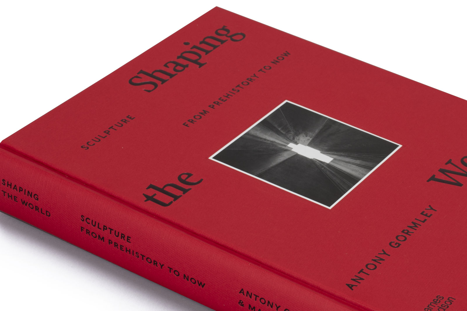 Antony Gormley & Martin Gayford Shaping the World