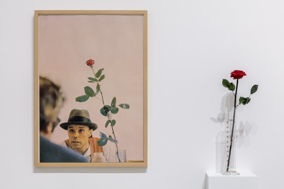 Joseph Beuys’s Game-Changing Art Plants Seeds for Change Two Vast LA Projects