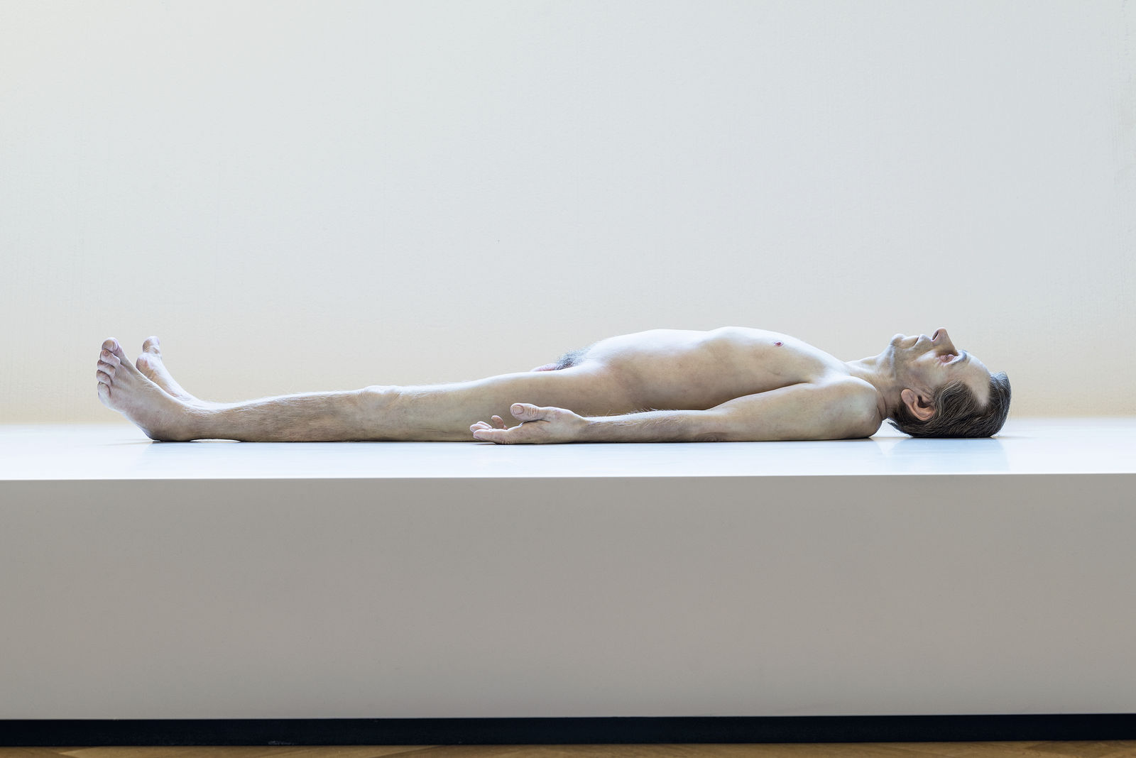 Sensation | A new BBC series Ron Mueck's Dead Dad