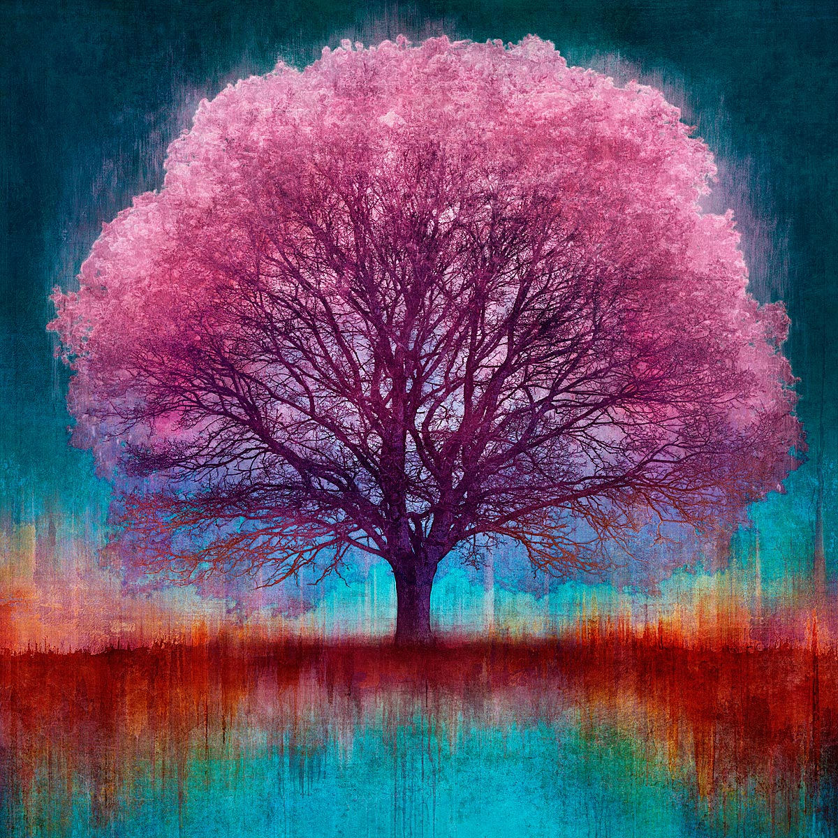 Mark Munroe-Preston, N50.9963 E0.2792