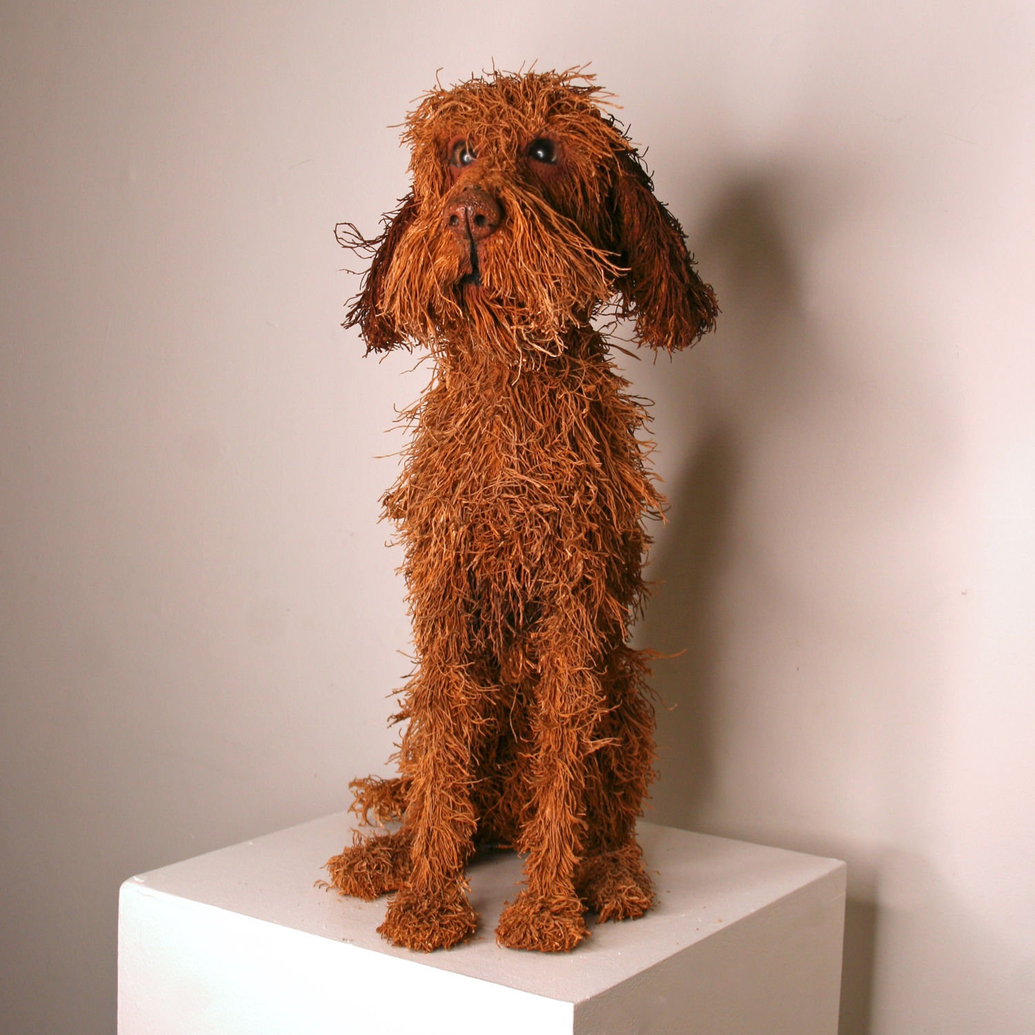 Gemma Rees, Digby (Wire-Haired Vizsla)