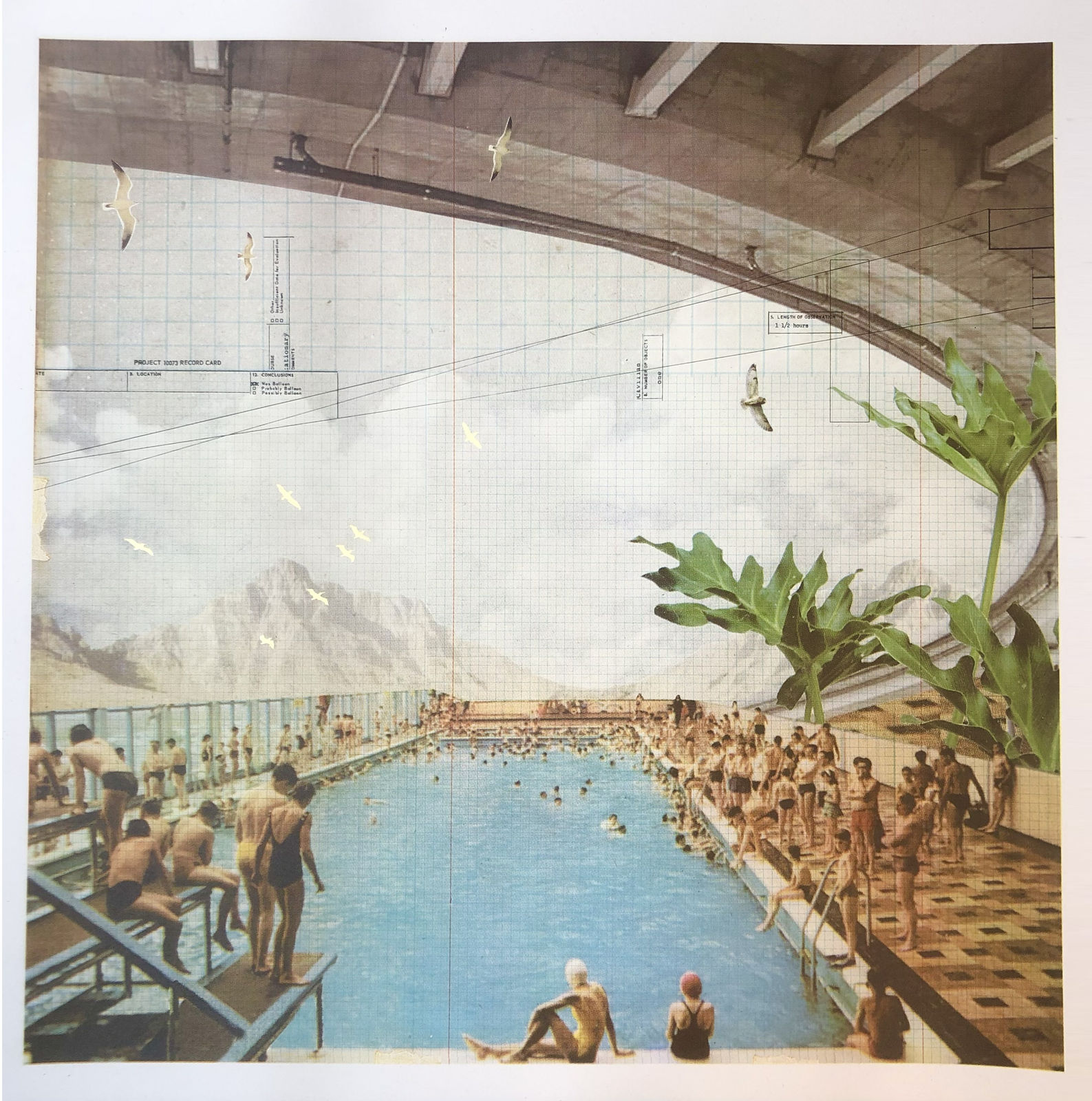 Maxine Gregson, Underneath the Canopy